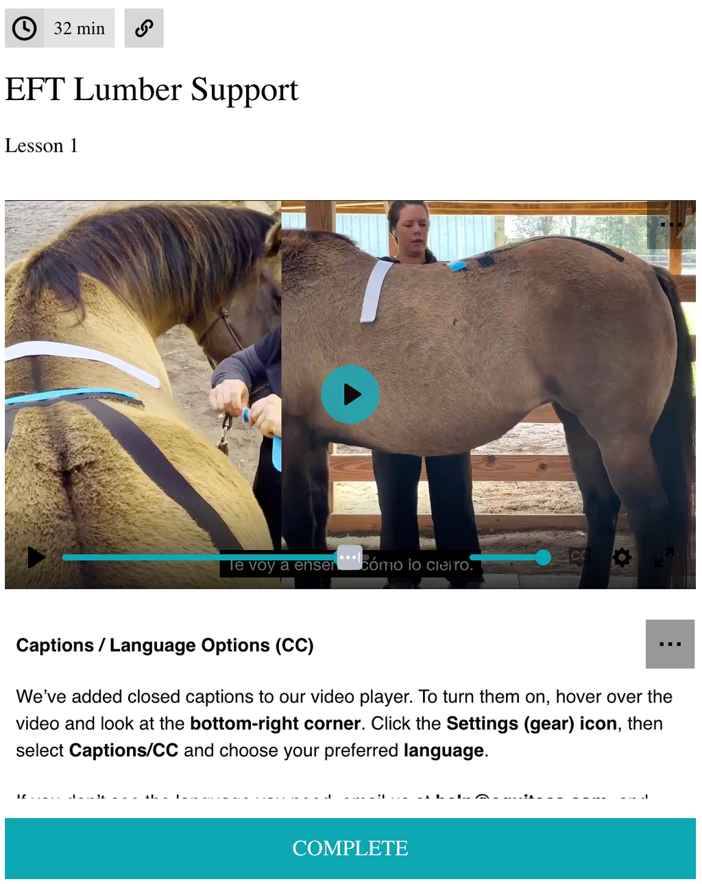 EFT Lumbar Support