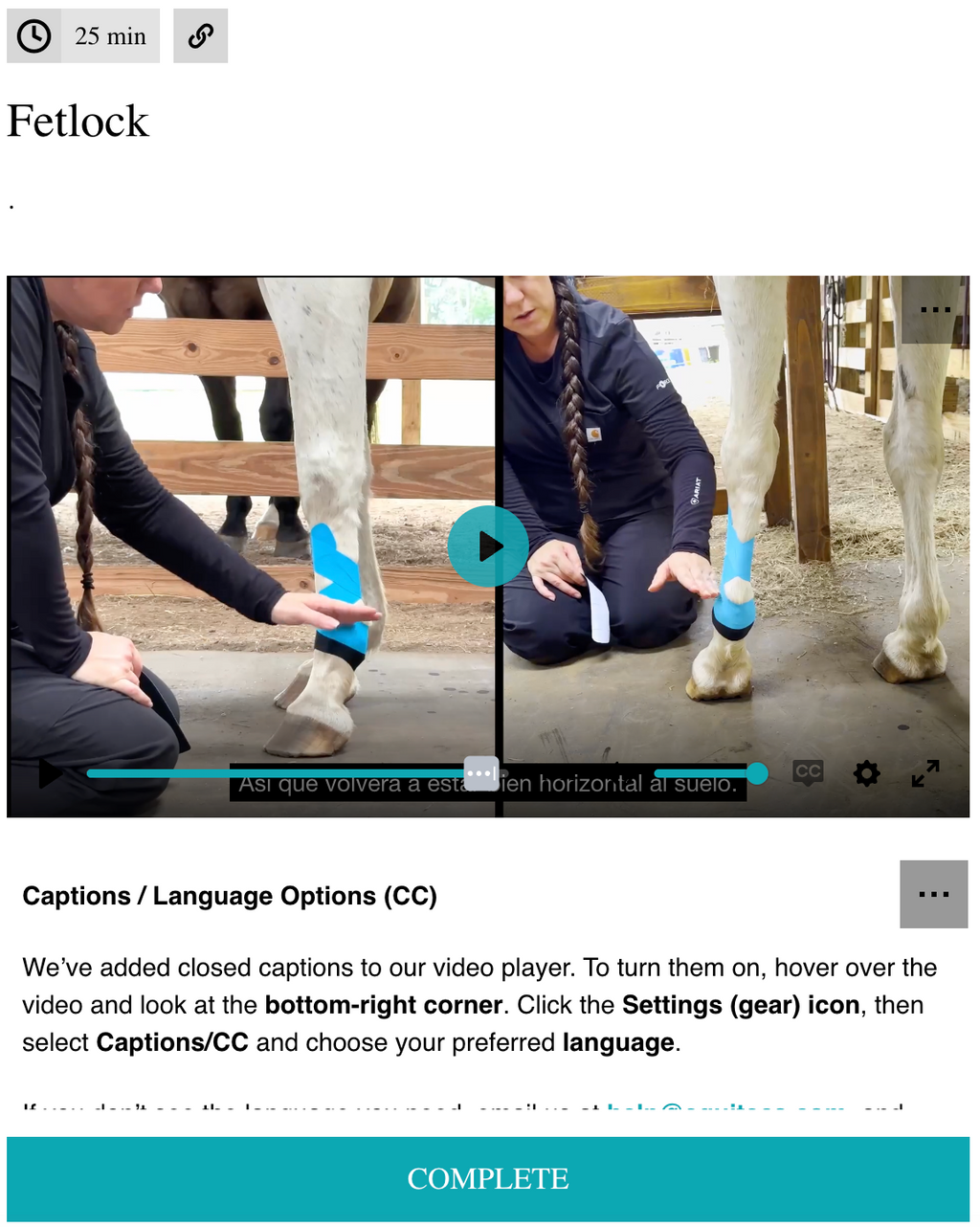 EFT Fetlock Support