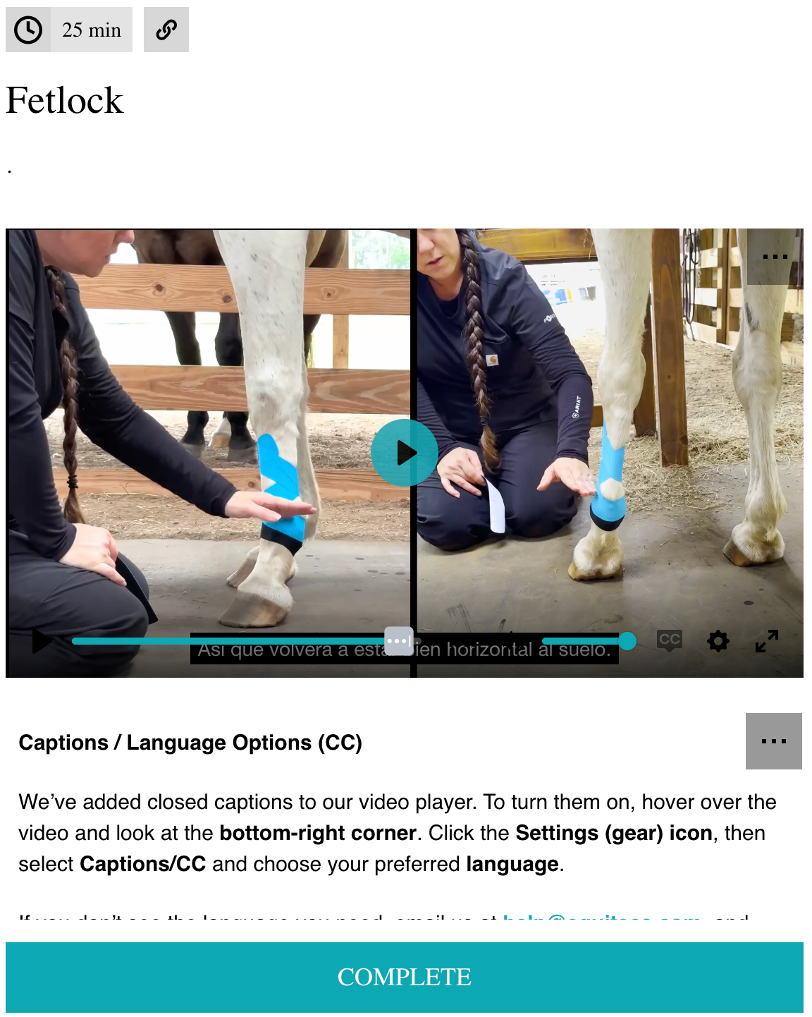 EFT Fetlock Support