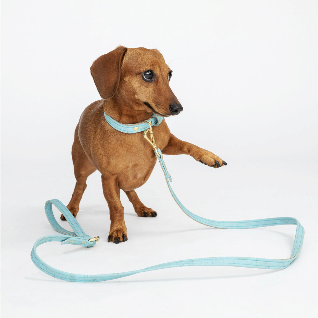 Sky Blue Cork Leather Collar