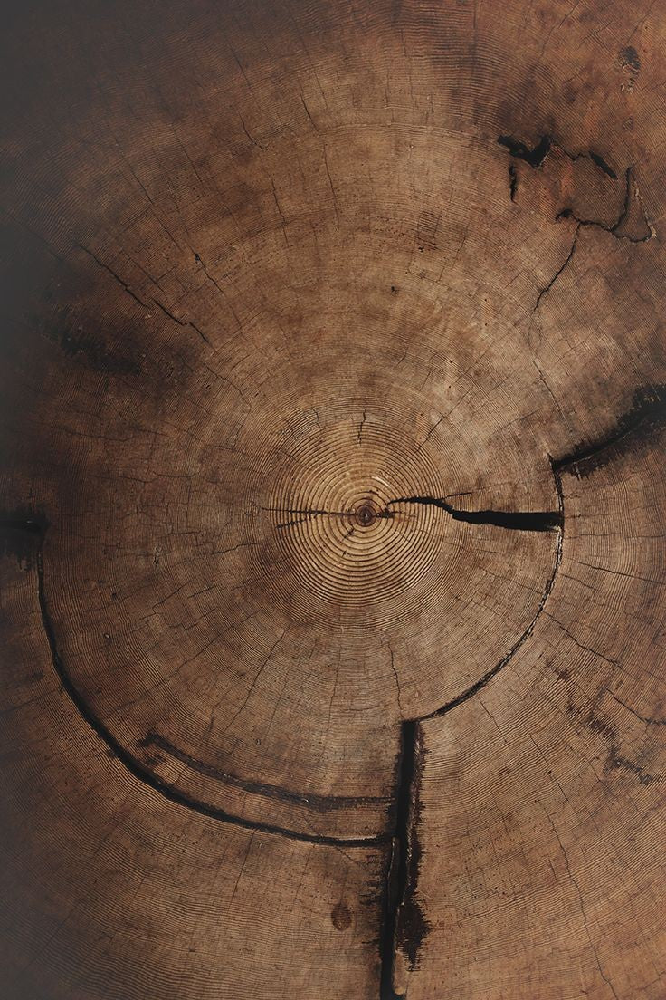 Mourning Wood Eau de Parfum