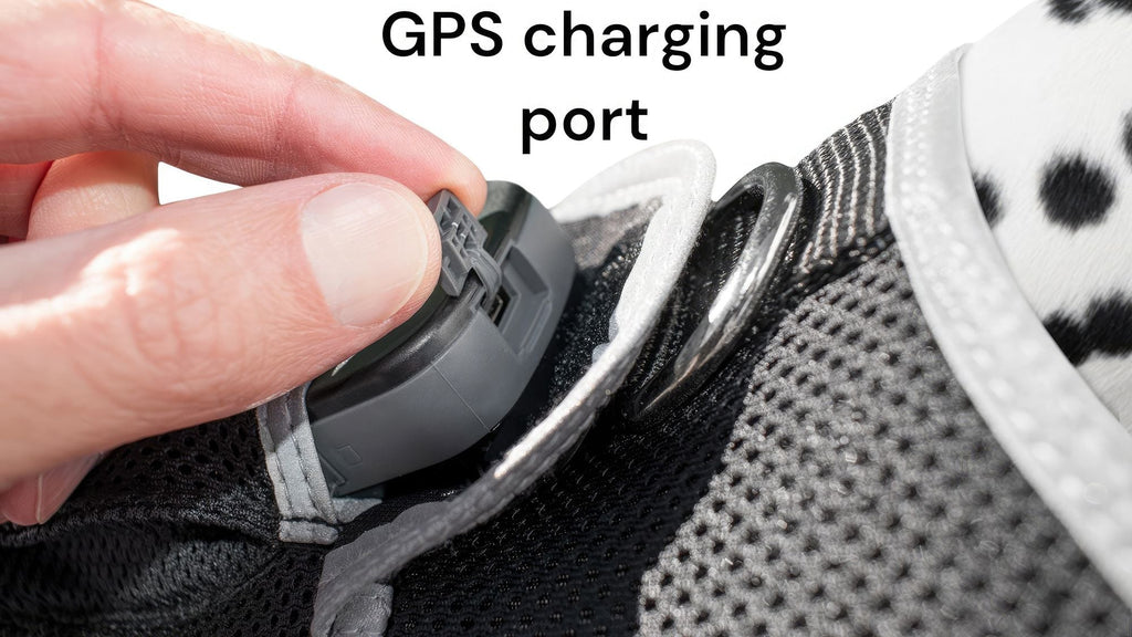 Keep Pet Safe with Pet Tracker GPS Dog Collar Tracking Device + Phone App Size:M