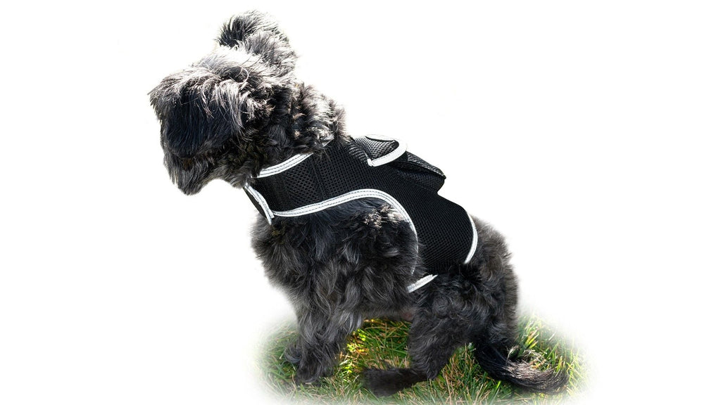Easy Setup Waterproof Mini GPS Realtime Pet GSM GPRS Tracking Device Size:L