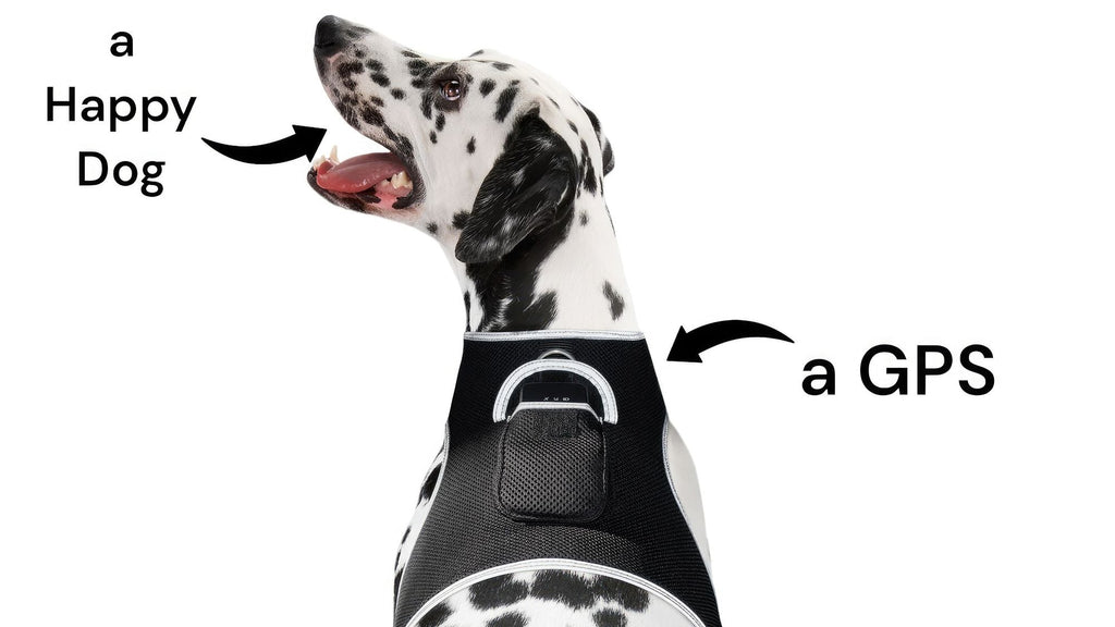 GPS Rechargeable Tracking Device for Pets Realtime Surveillance System Size:XXL