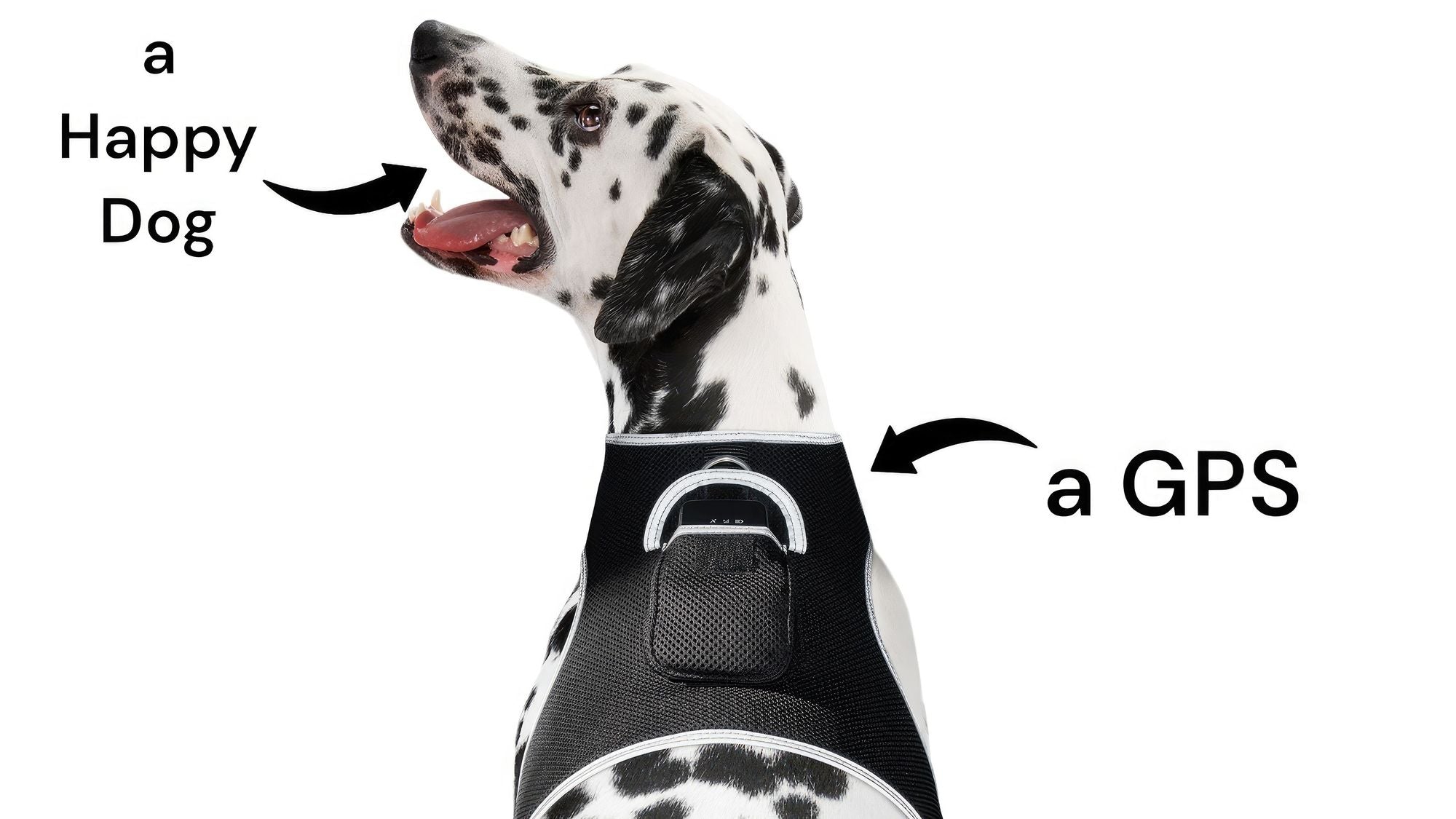 GPS Rechargeable Tracking Device for Pets Realtime Surveillance System Size:XXL