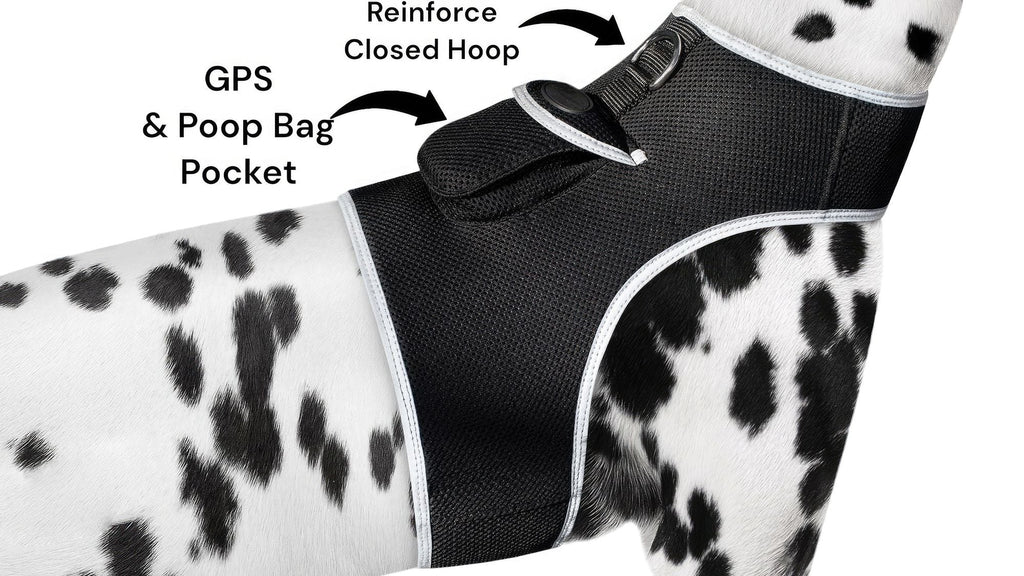 Waterproof GPS Tracker Dog Cat Rechargeable Locator with Battery Alert Size:L