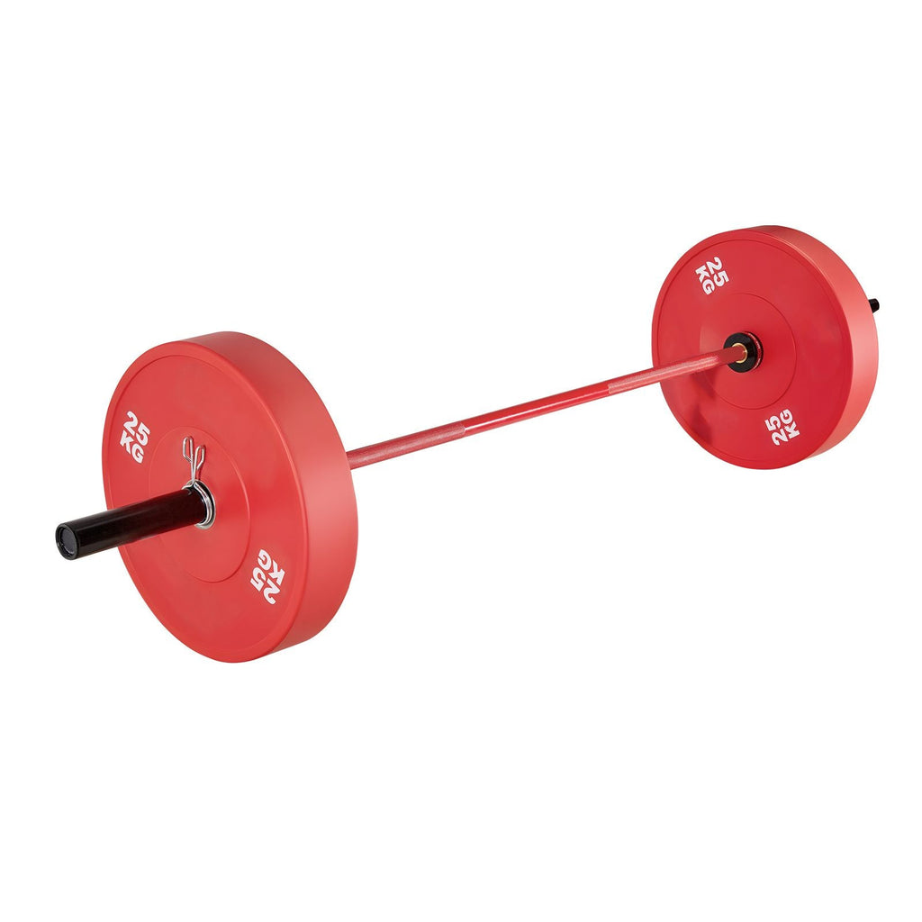 6FT Barbell Bar, Fits 2-Inch Weight Plates, Barbell Bar with Knurled Grip for Strength Training, Weightlifting, Squat, Deadlift, Bench Press, Curl, Overhead Press, 700lbs/317kg Capacity