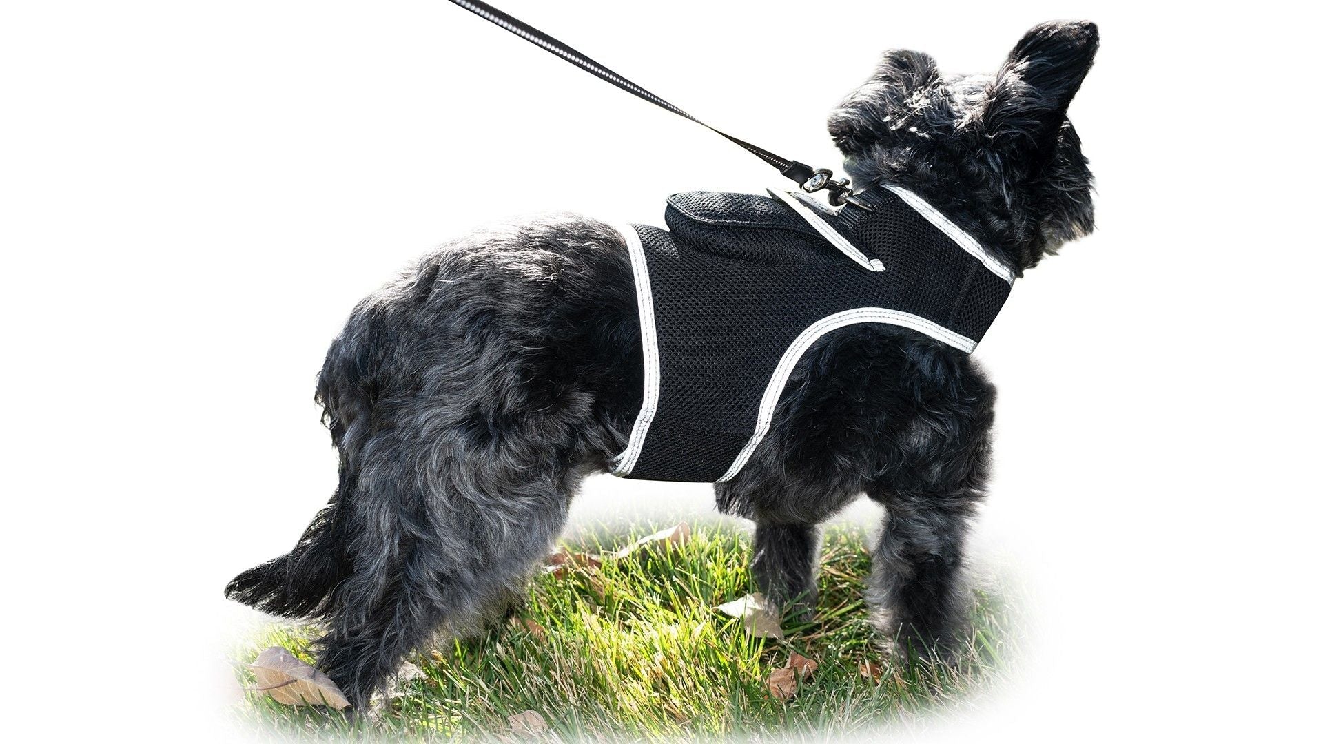 GPS Rechargeable Tracking Device for Pets Realtime Surveillance System Size:XXL