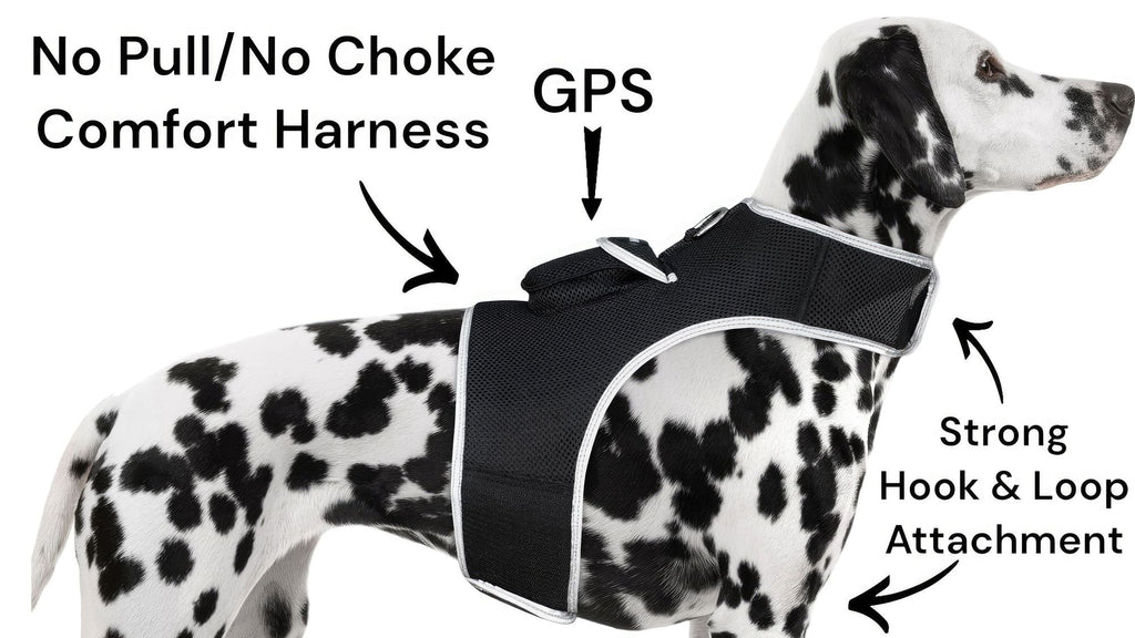 Easy Setup Waterproof Mini GPS Realtime Pet GSM GPRS Tracking Device Size:L
