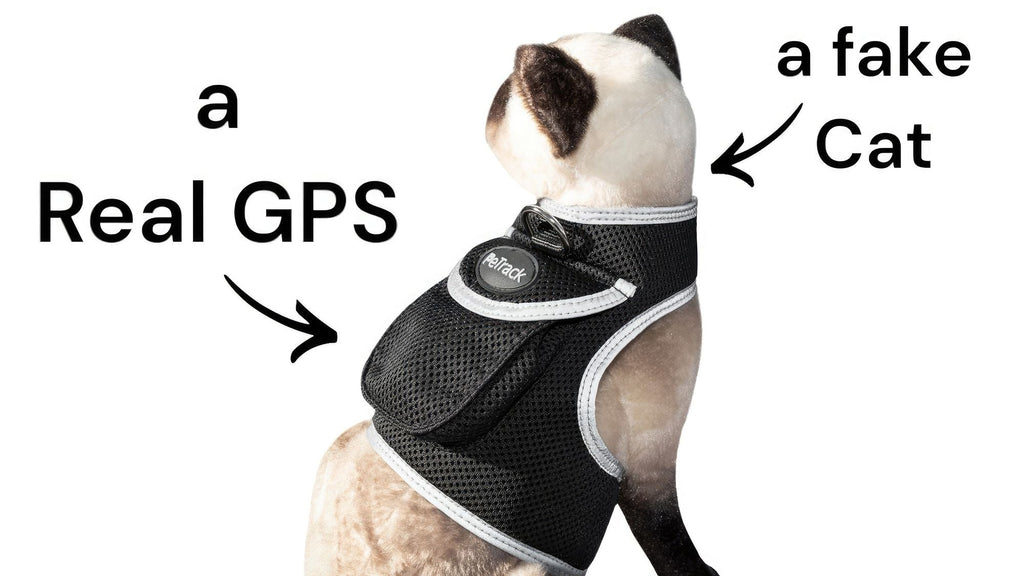 Easy Setup Waterproof Mini GPS Realtime Pet GSM GPRS Tracking Device Size:L
