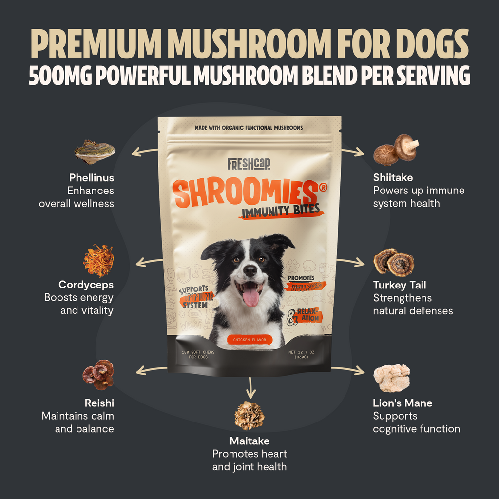 Organic Mushroom Complex for Dogs