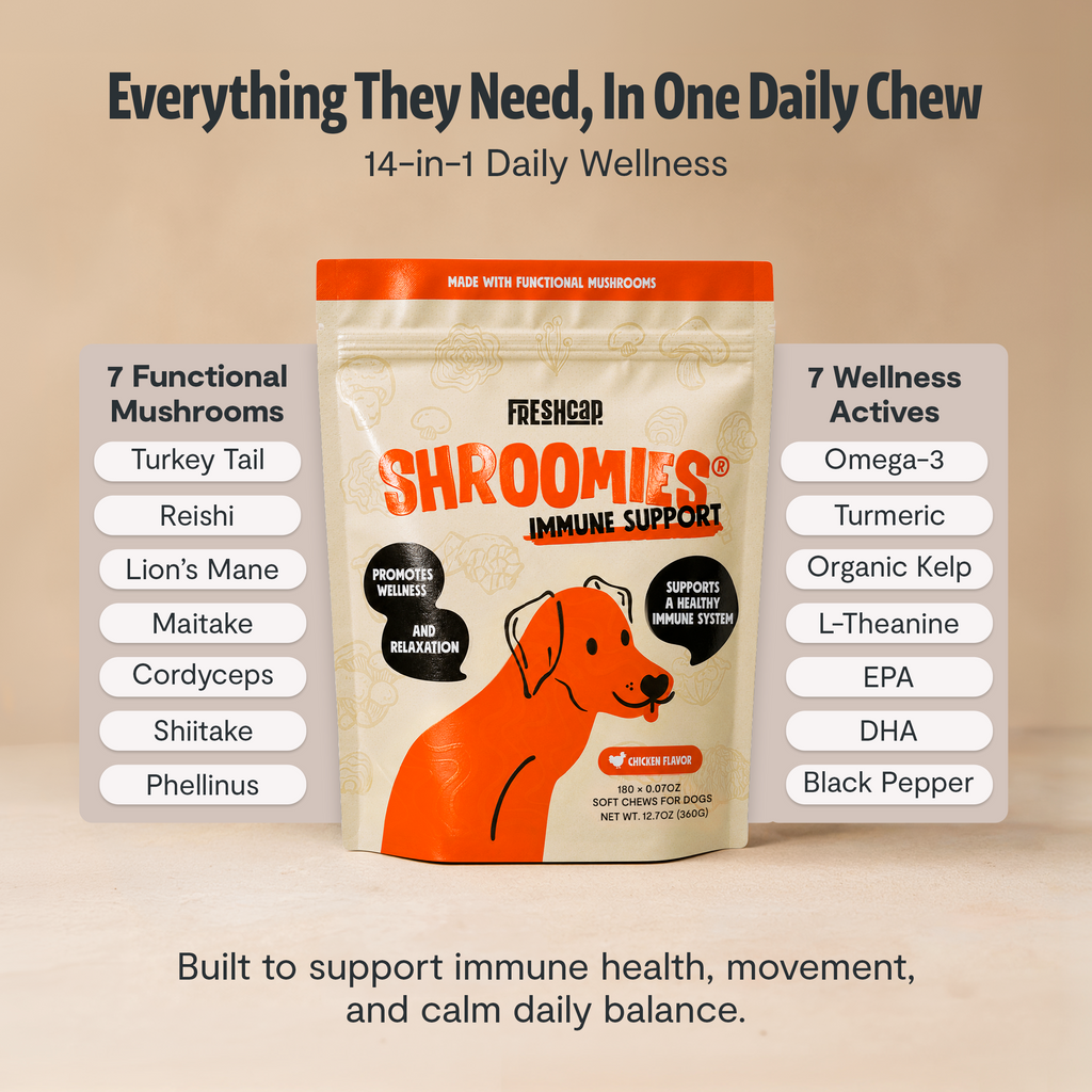 Organic Mushroom Complex for Dogs
