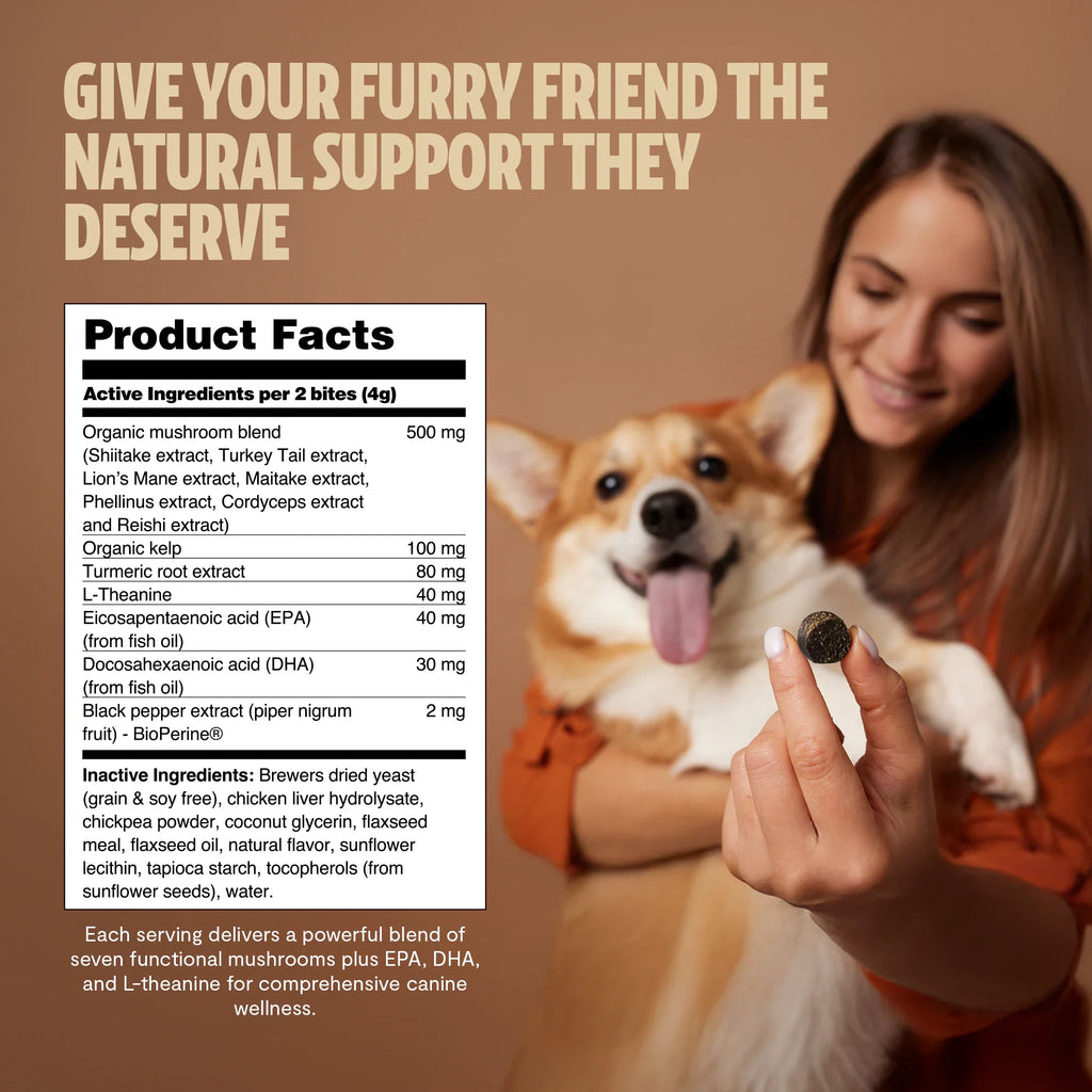 Organic Mushroom Complex for Dogs