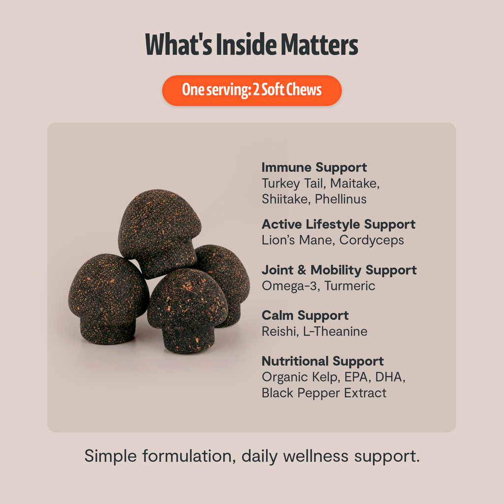 Organic Mushroom Complex for Dogs