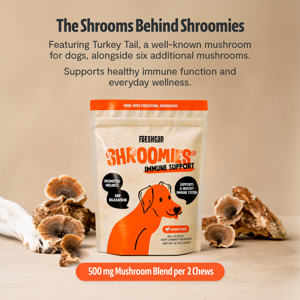 Organic Mushroom Complex for Dogs