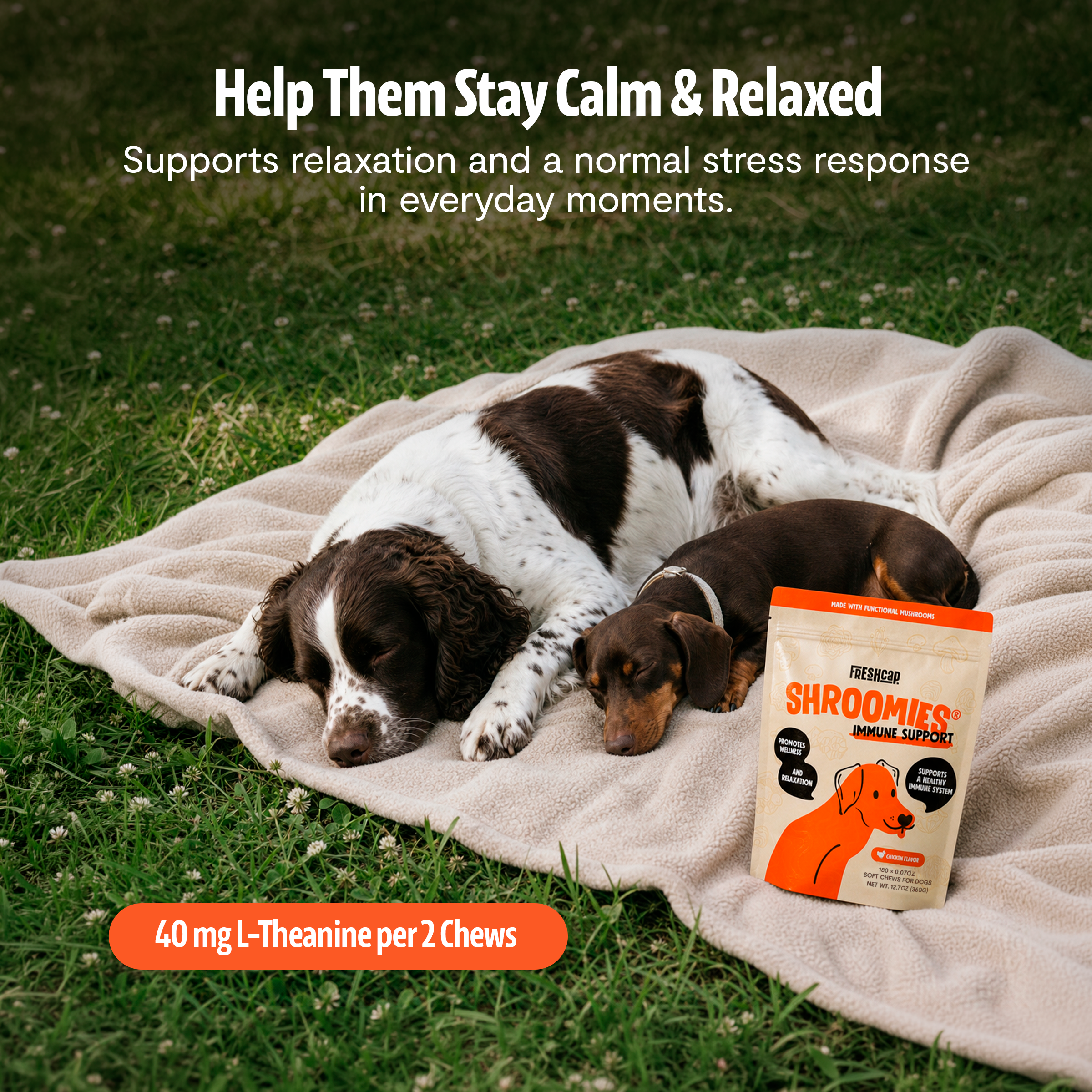 Organic Mushroom Complex for Dogs