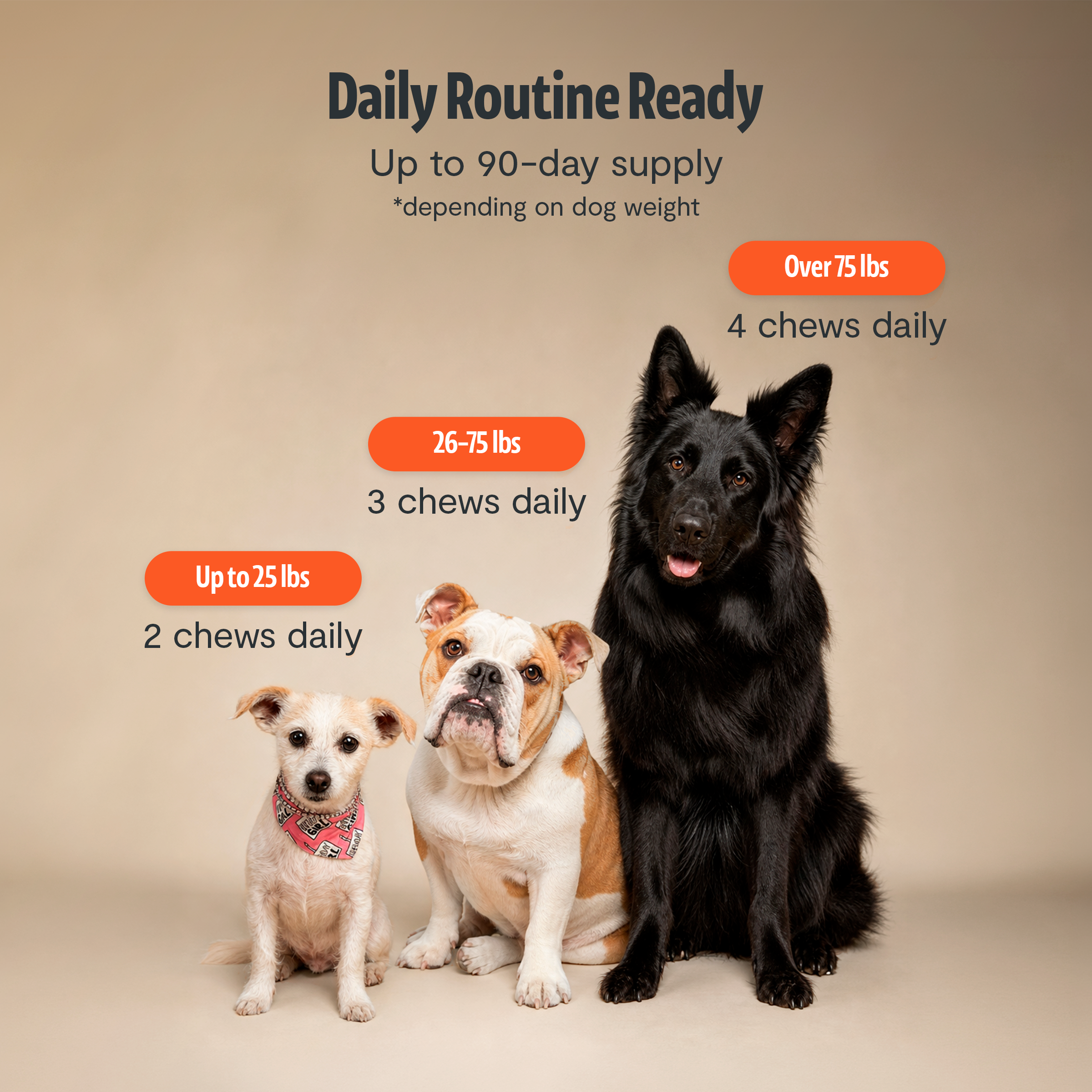 Organic Mushroom Complex for Dogs