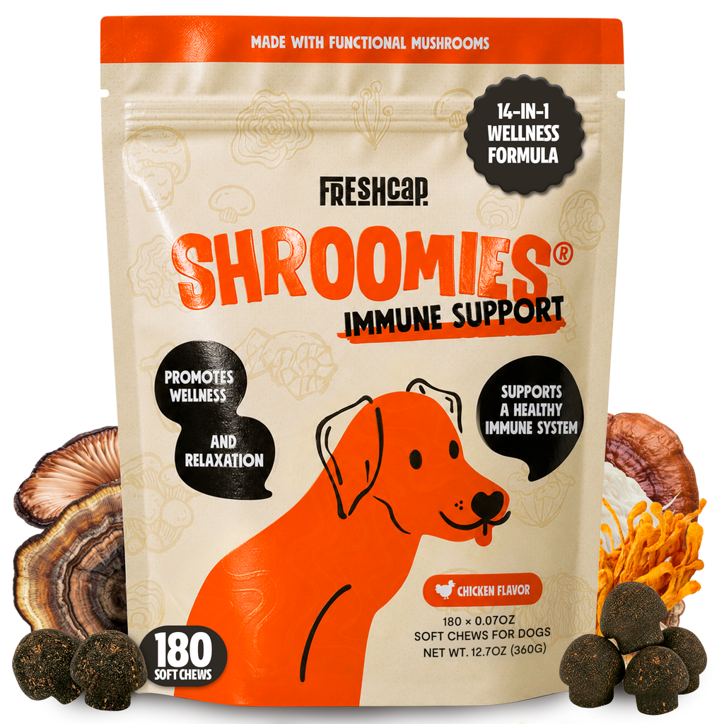 Organic Mushroom Complex for Dogs